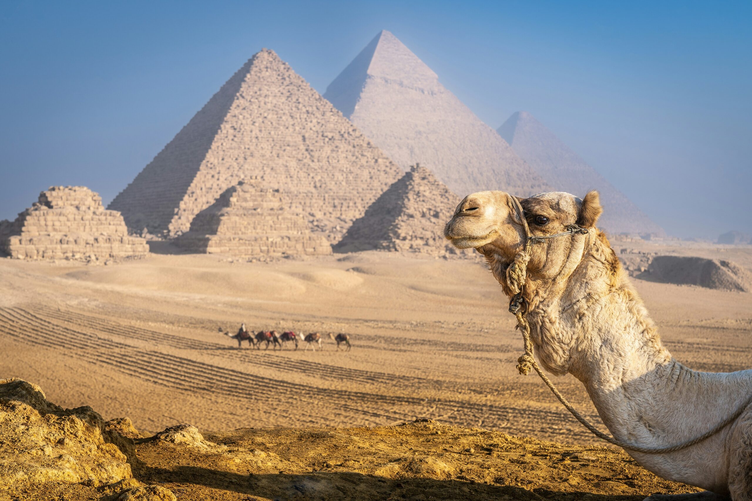 Giza Pyramids Transport